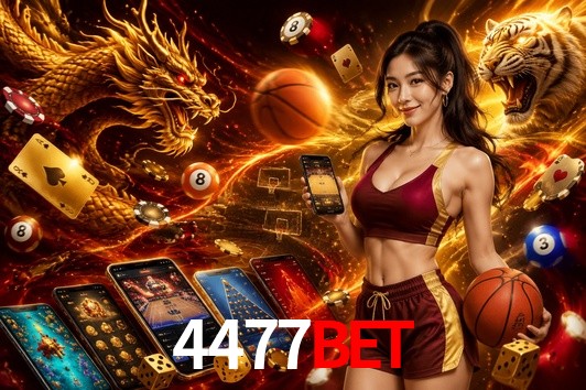 Statistics 4477bet