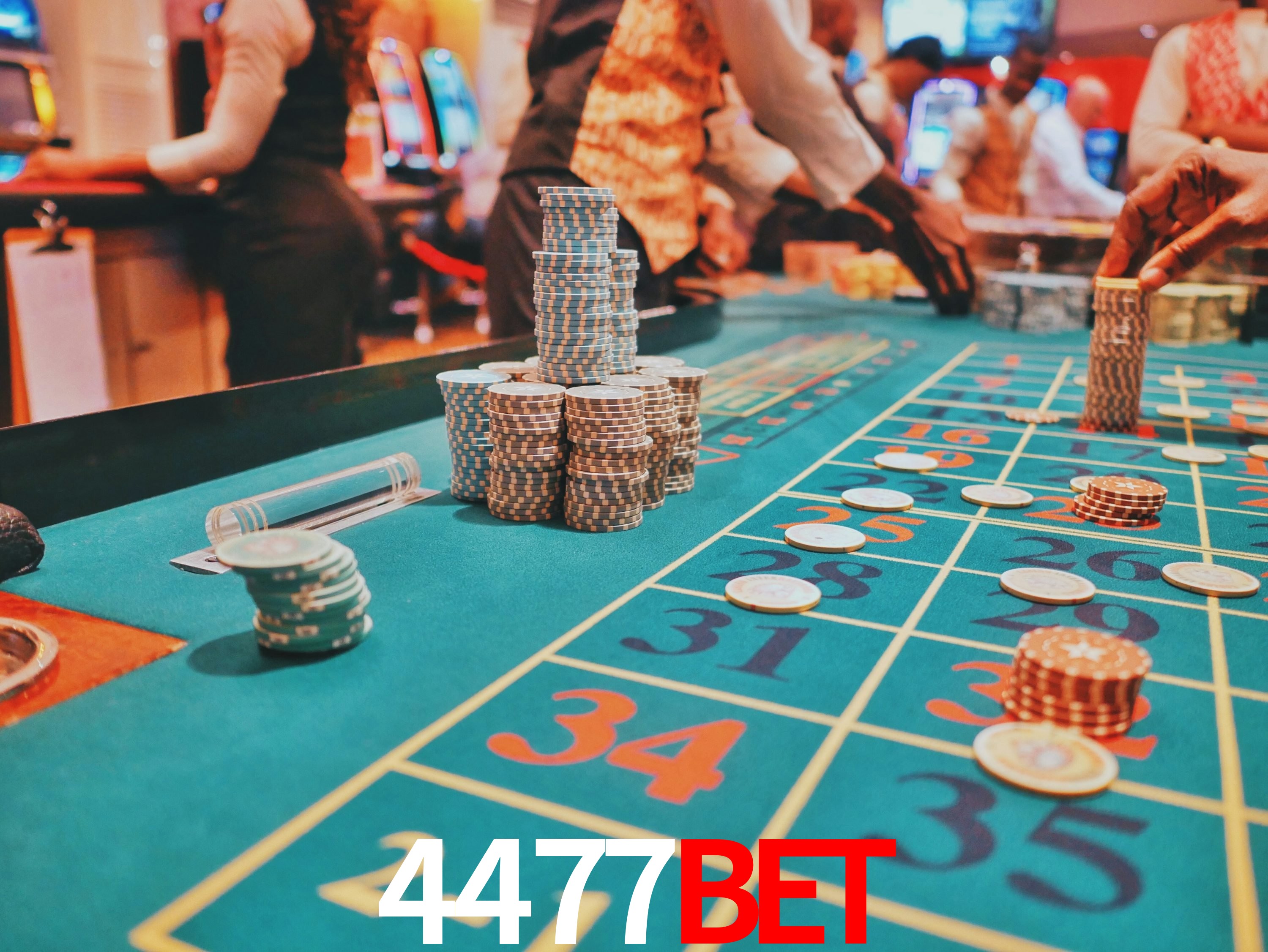Casino Ao Vivo 4477BET